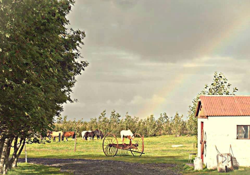 Rauthuskrithur Farm Holmabaeir Exteriér fotografie