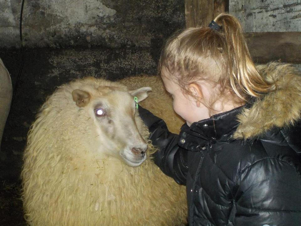Rauthuskrithur Farm Holmabaeir Exteriér fotografie